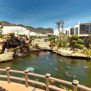 Hồ cá Koi Oceanami - địa điểm check in tại Oceanami